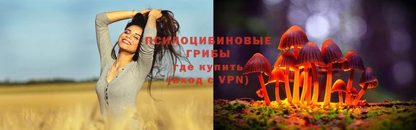 круглые Касимов