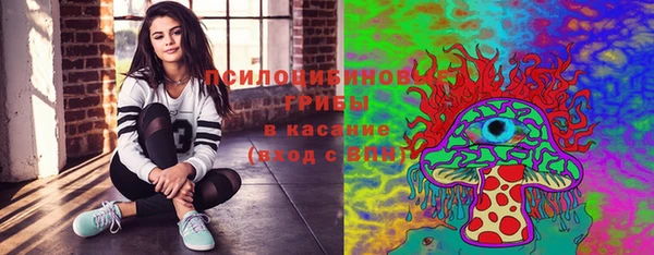 ешки Карпинск