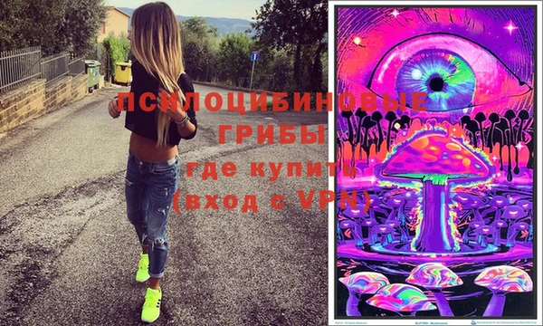 мдпв Карталы