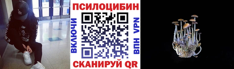 Галлюциногенные грибы Cubensis Кемерово